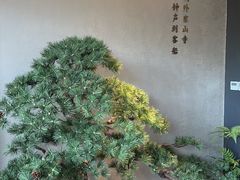 -蘇锦宴·淮扬菜烤鸭·小院(三元桥霄云路店)