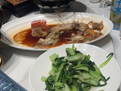 -老山东·山东菜(鲁菜名店)