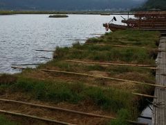 划草船-腾冲北海湿地