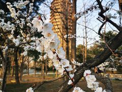 -玲珑塔公园