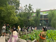 -莲湖公园