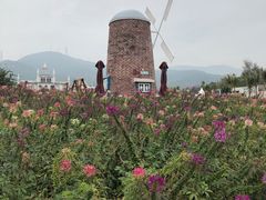 -玫瑰海岸文化旅游度假区