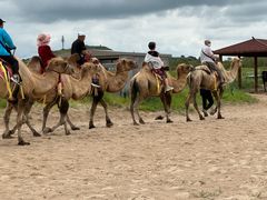 -库伦旗银沙湾旅游景区