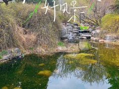 -国家植物园南园