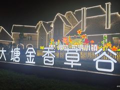 -大塘金香草谷