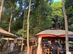 -二荆条·蜀鲜汇城市森林火锅