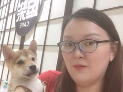 -逗柴咖啡屋·狗咖猫咖宠物桌游