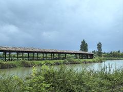 -池杉湖湿地公园
