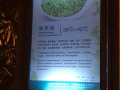 -三亚珠江南田温泉度假区