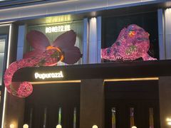 -帕帕拉兹宠物(亚洲旗舰店)