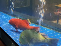 -新荣记(西溪湿地店)