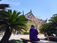 -月栖华明-云间草堂清茶馆(泗泾古镇店)