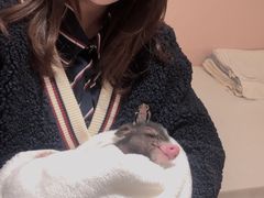 -浣熊柯尔鸭土拨鼠·电玩咖