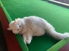 -肯德基(学院路店)