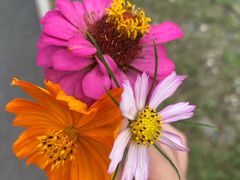 -永定河休闲森林公园