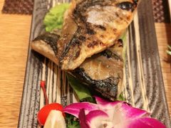 -樱の千渡日式料理·铁板烧•烧鸟(金盛田广场店)