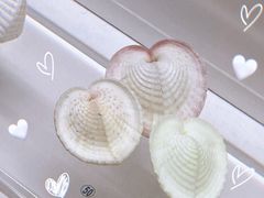 -贝壳王国博物馆