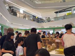 -帕帕拉兹宠物(亚洲旗舰店)