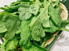 广东茼蒿-潮汕林记牛肉火锅(万象天地店)