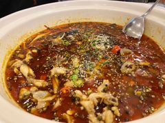 -红牌美蛙鱼头火锅(万辉国际广场店)