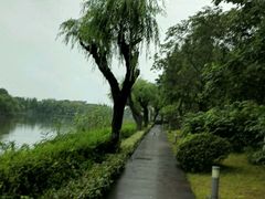 -上海市保健医疗中心(华东疗养院)