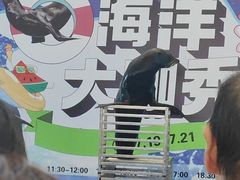 -吾悦广场(渭南店)