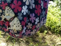 -碓臼峪自然风景区