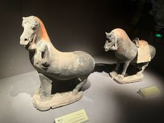 -大同市博物馆