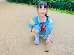 -西湖风景区-江洋畈生态公园