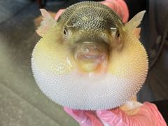 -永安鱼庄·镇江菜(东吴路店)