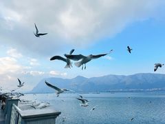 -海埂大坝