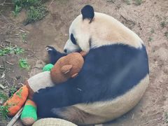 -大连森林动物园