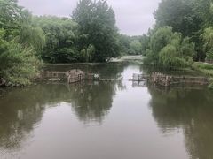 -溱湖国家湿地公园