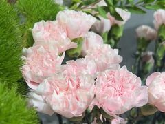 -何兮花店·气球派对鲜花店(马桥银春路万科城店)