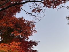 -富士山吉田線五合目