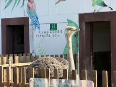 -太阳岛度假酒店