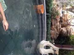 iphone_upload_pic-杭州第一世界大酒店·云曼温泉