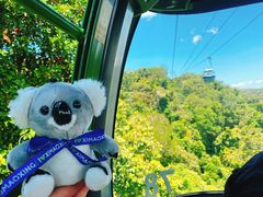 -热带雨林自然公园