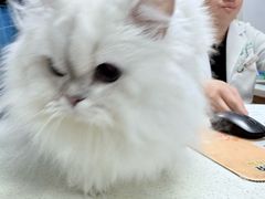 -联合动物医院(光谷诊疗中心)