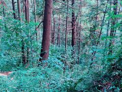 -黄公望隐居地