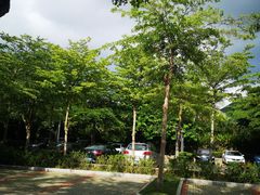 -亚龙湾站