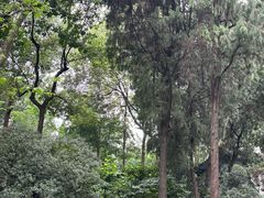 -成都武侯祠博物馆