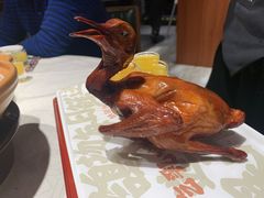 -大鸽饭(动物园店)