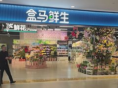 -盒马鲜生(宝地店)