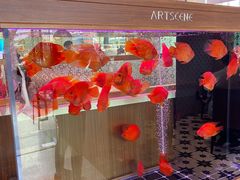 -龙记·香港茶餐厅(海上世界店)