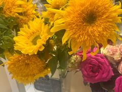 -大悦城(沈阳中街店)