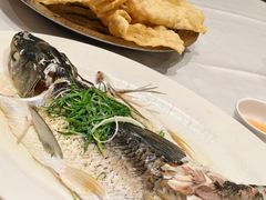 油盐蒸青竹皖鱼-稻香酒家·35年老字号(侨光店)