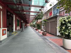 -新加坡佛牙寺龙华院