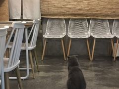 -拾壹cafe·工作室