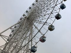 -琴岛之星摩天轮